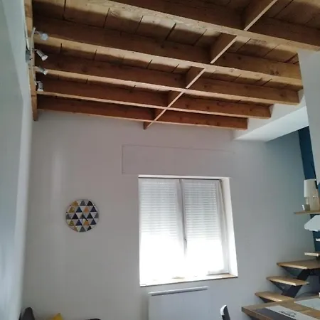Charmant Duplex 28 M2 Calme Dans Maison Avec Jardin Centre Transport * Lyon