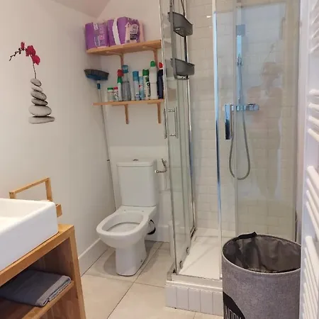 Charmant Duplex 28 M2 Calme Dans Maison Avec Jardin Centre Transport Lyon