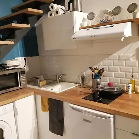 Charmant Duplex 28 M2 Calme Dans Maison Avec Jardin Centre Transport Lyon