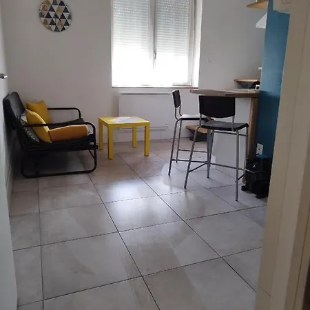 Charmant Duplex 28 M2 Calme Dans Maison Avec Jardin Centre Transport