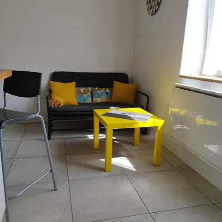 Charmant Duplex 28 M2 Calme Dans Maison Avec Jardin Centre Transport Appartement Lyon