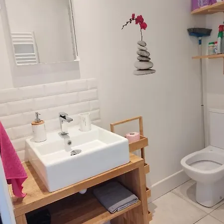 Charmant Duplex 28 M2 Calme Dans Maison Avec Jardin Centre Transport Appartement