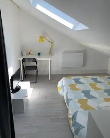 Appartement Charmant Duplex 28 M2 Calme Dans Maison Avec Jardin Centre Transport Lyon
