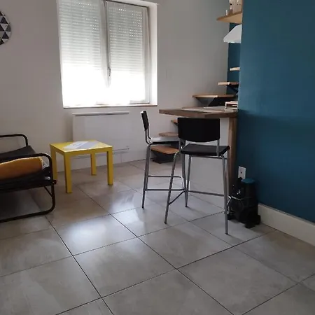 Charmant Duplex 28 M2 Calme Dans Maison Avec Jardin Centre Transport Appartement *